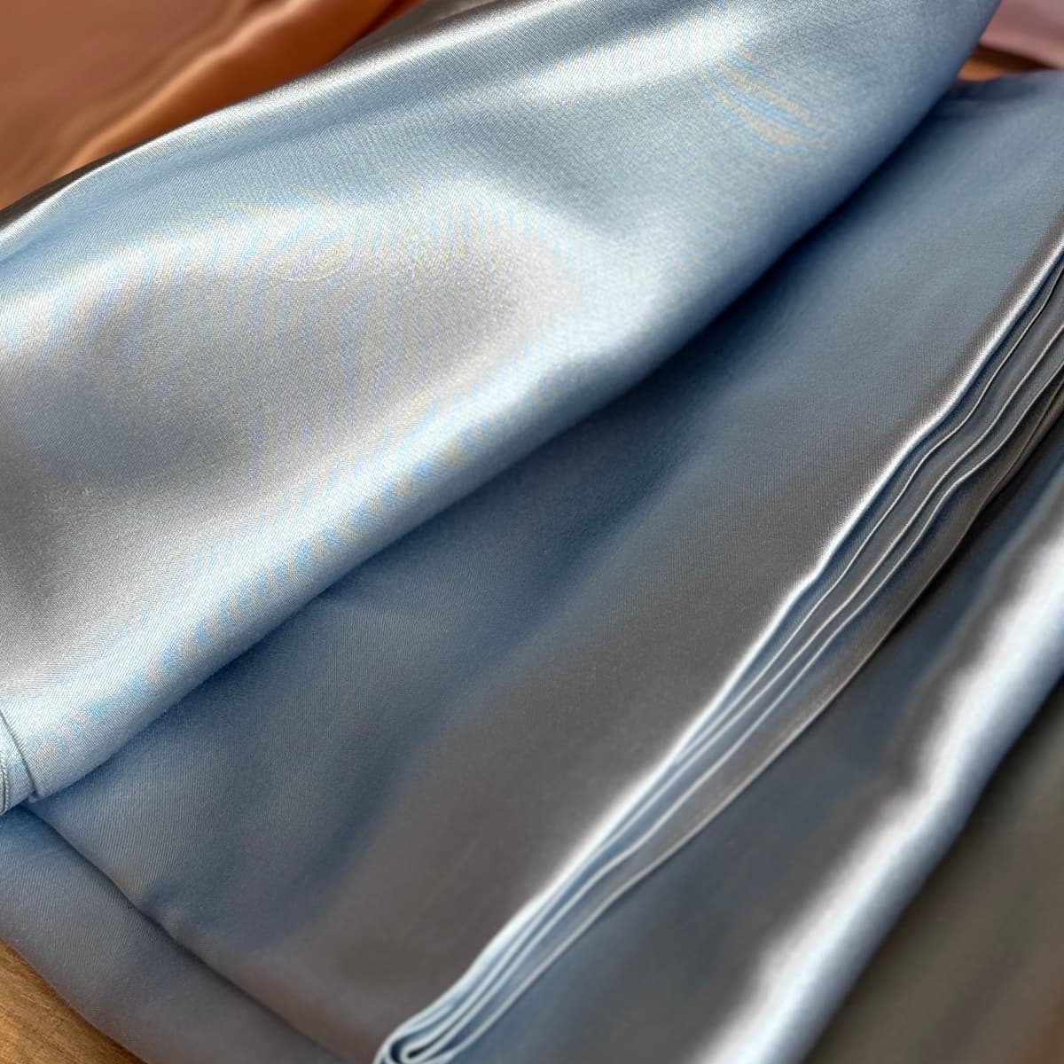 CAT IN BED VEGAN Шовкова наволочка з віскози, блакитна - 4